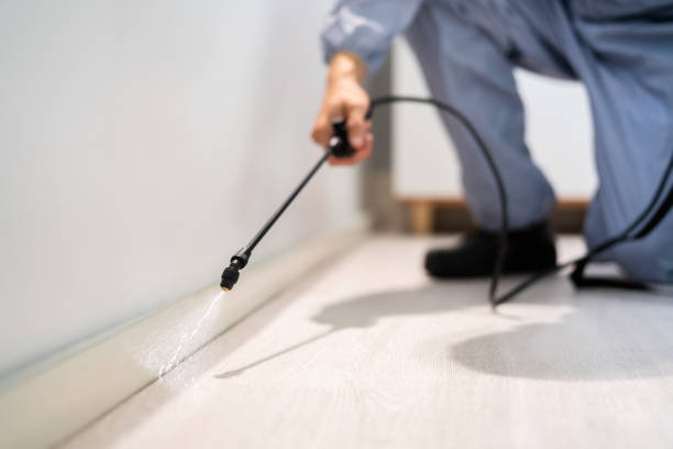 Licensed Ant Control service in Central High, OK - Show Me Pest Control