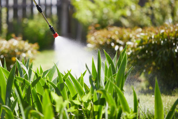 24/7 Emergency Ant Control experts in Central High, OK