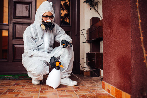 Reliable Ant Control contractor in Central High, OK by Show Me Pest Control