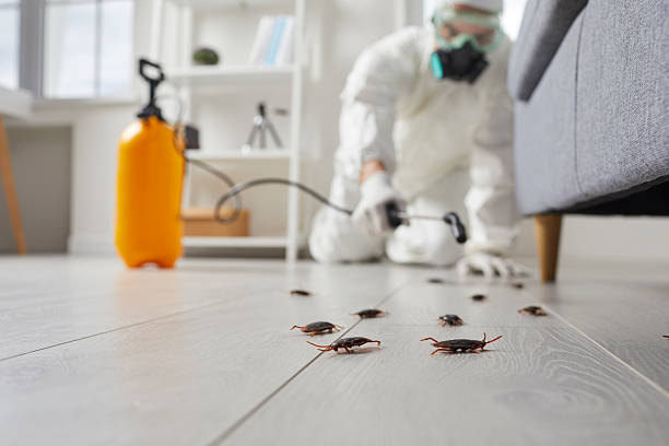 Affordable Ant Control solutions in Central High, OK