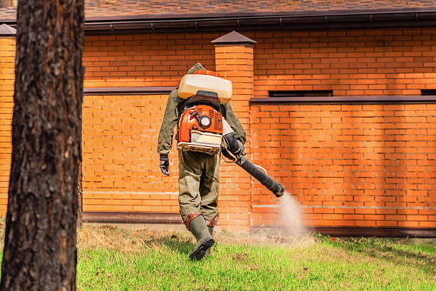Top rated local Ant Control specialists in Central High, OK